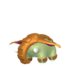Image of shiny Donphan